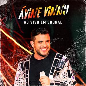 收聽Avine Vinny的Coisas Banais (Ao Vivo)歌詞歌曲