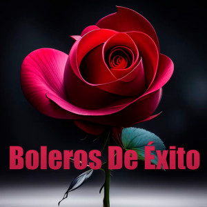 อัลบัม Boleros De Éxito ศิลปิน Various