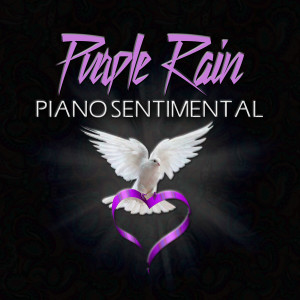 收聽Piano Sentimental的Purple Rain歌詞歌曲