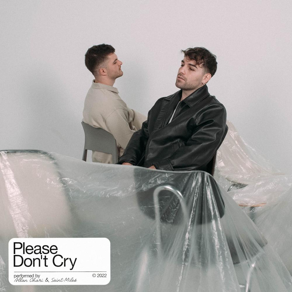 Please Don't Cry (feat. Saint Miles)