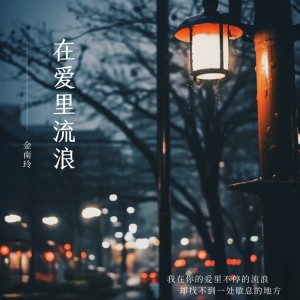 อัลบัม 在爱里流浪 ศิลปิน 金南玲