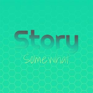 Various Artists的专辑Story Somewhat