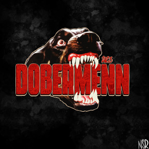 Listen to Dobermenn 2023 (Explicit) song with lyrics from AK97
