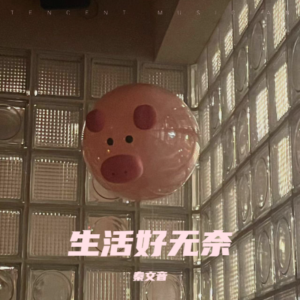 收听秦文音的生活好无奈 (完整版)歌词歌曲