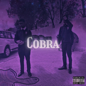 Listen to Cobra (Explicit) song with lyrics from Luke Ioannides