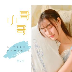 Dengarkan lagu 小哥哥 nyanyian 胡艾彤 dengan lirik