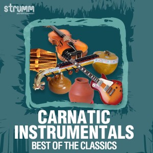 Various Artists的專輯Carnatic Instrumentals - Best of the Classics