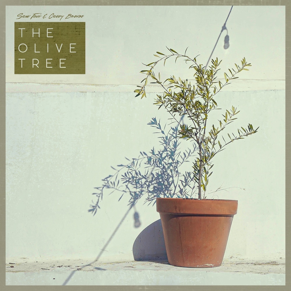 The Olive Tree