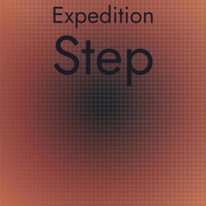 Expedition Step dari Various Artists