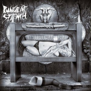 ดาวน์โหลดและฟังเพลง The Passion of Lucifer (Explicit) พร้อมเนื้อเพลงจาก Pungent Stench