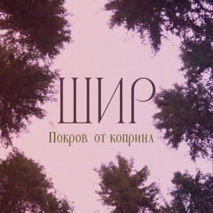 收聽Shir的Покров от коприна歌詞歌曲