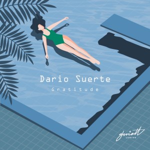 Listen to Gratitude (Coastline Drive Mix) song with lyrics from Dario Suerte
