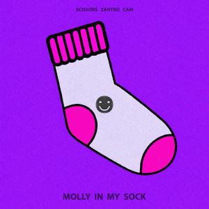 Album Molly In My Sock from Scissors