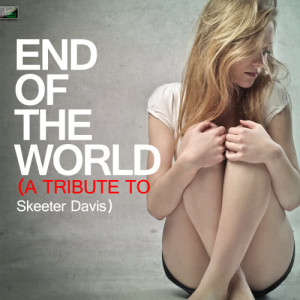 收聽Ameritz Tribute Standards的The End of the World (A Tribute to Skeeter Davis)歌詞歌曲