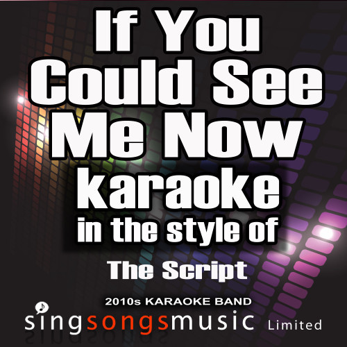 If You Could See Me Now (In the Style of the Script) [Karaoke Version] (Karaoke Version)