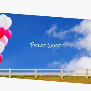 Album Picket What from Various
