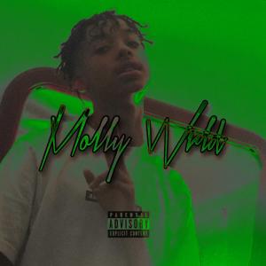 Album Molly Wrld (Explicit) from Bryce Da Menace
