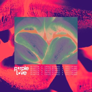 David Schmid的專輯Purple Love (Remix)