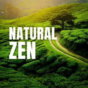 Nature Sounds的專輯Natural Zen