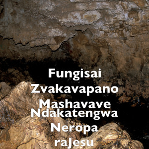Listen to Ndakatengwa Neropa raJesu song with lyrics from Fungisai Zvakavapano Mashavave