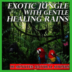ดาวน์โหลดและฟังเพลง Exotic Jungle with Gentle Healing Rains: 90 Minutes: Natural Sounds พร้อมเนื้อเพลงจาก Natural Sounds