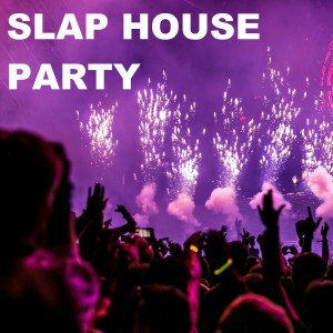 Album Slap House Party from Deep House Party