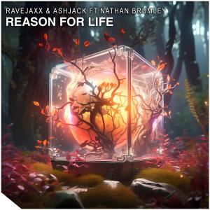 Reason For Life (feat. Nathan Brumley) dari Nathan Brumley