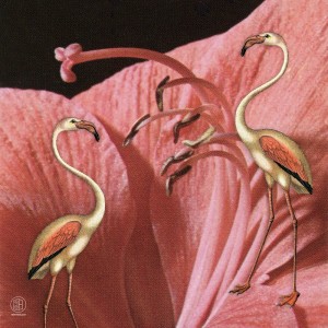 ดาวน์โหลดและฟังเพลง Small Flocks พร้อมเนื้อเพลงจาก Maria Whoat