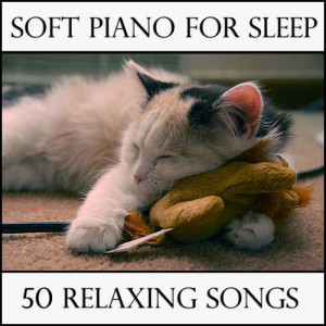 ดาวน์โหลดและฟังเพลง Can't Help Falling in Love พร้อมเนื้อเพลงจาก Spa Sensations