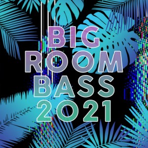 Album Big Room Bass 2021 from Various Artists