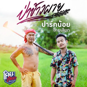 ดาวน์โหลดและฟังเพลง ป่าข้าวผาย พร้อมเนื้อเพลงจาก ปาร์คน้อย โคกเสียก