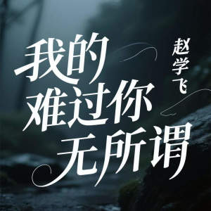 Listen to 我的难过你无所谓 song with lyrics from 赵学飞