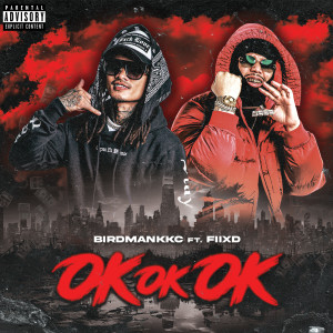 Album OK OK OK (Explicit) oleh Fiixd