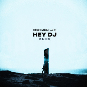 Martin Tungevaag的專輯Hey DJ (Remixes)