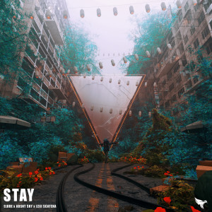 Album Stay from 