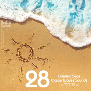 Listen to Wave Sound of Sunset Beach in Okinawa song with lyrics from 힐링 네이쳐 Nature Sound Band