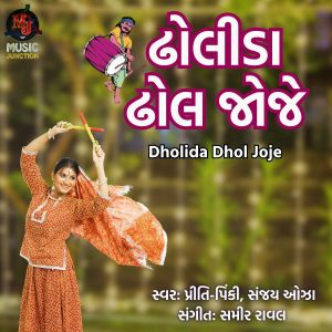 Album Dholida Dhol Joje from 