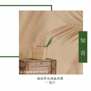 Dengarkan 知否 (伴奏) lagu dari 林江 dengan lirik