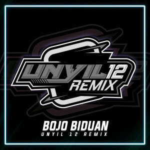 Dengarkan Bojo Biduan lagu dari UNYIL 12 REMIX dengan lirik