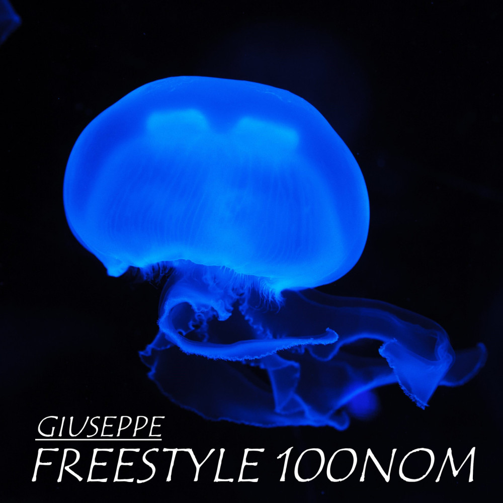 Freestyle 100Nom (Explicit)