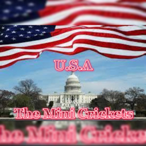 Album U.S.A from The Mini Crickets