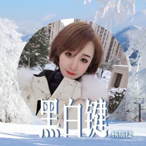 收听杨斯捷的黑白键歌词歌曲
