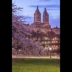 ดาวน์โหลดและฟังเพลง don't wanna stay (Explicit) พร้อมเนื้อเพลงจาก shoruda