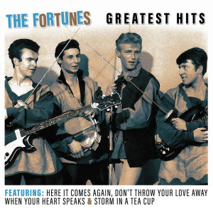 ดาวน์โหลดและฟังเพลง Storm in a Tea Cup พร้อมเนื้อเพลงจาก The Fortunes