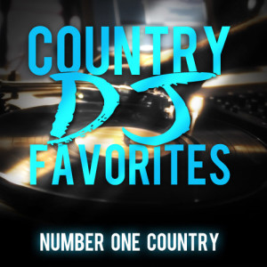 ดาวน์โหลดและฟังเพลง Hush Hush พร้อมเนื้อเพลงจาก Number One Country