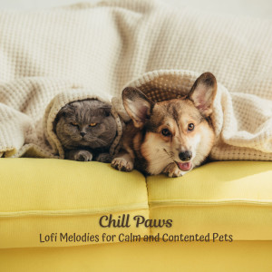 Album Chill Paws: Lofi Melodies for Calm and Contented Pets from Calming Music For Pets