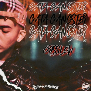 ดาวน์โหลดและฟังเพลง Gata Gangster พร้อมเนื้อเพลงจาก CrissLow
