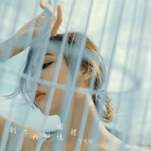 Album Sheng Xia Wo De Hui Yi Li oleh 丁可欣