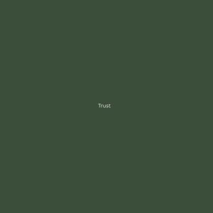 Album Trust (Explicit) from JSinner