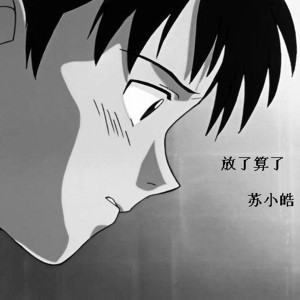 收聽蘇小皓的放了算了歌詞歌曲